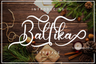 Baltika: Elegant Script Font for Web Design
