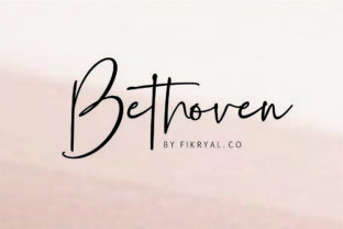 Bethoven: A Script Amp Review