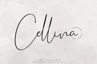 Cellina: A Bold Font for Business Branding