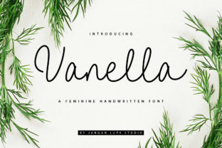 Vanella: A Romantic Script Font for Branding